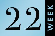 Picture of שבוע 22 להריון