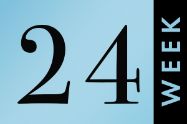Picture of שבוע 24 להריון