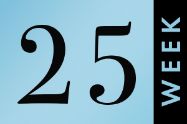 Picture of שבוע 25 להריון