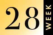 Picture of שבוע 28 להריון