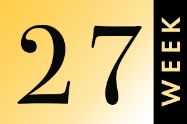 Picture of שבוע 27 להריון