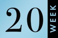Picture of שבוע 20 להריון