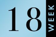 Picture of שבוע 18 להריון
