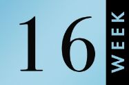 Picture of שבוע 16 להריון