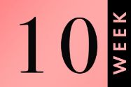 Picture of שבוע 10 להריון